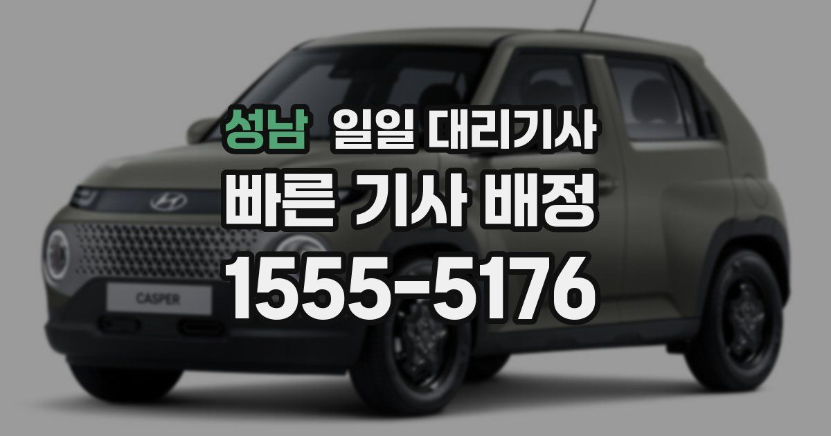 성남 일일 대리기사