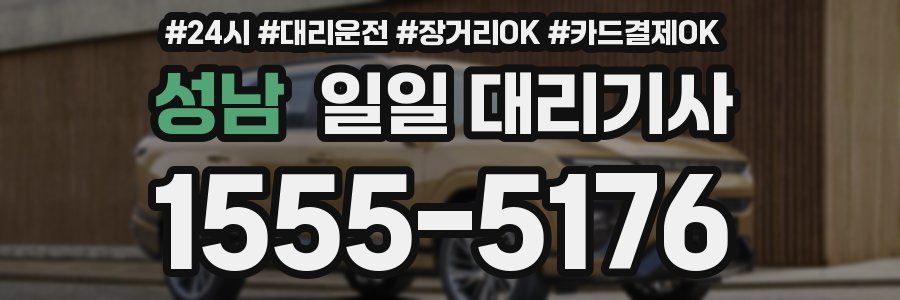 성남 일일 대리기사