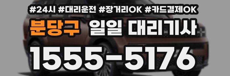 분당구 일일 대리기사