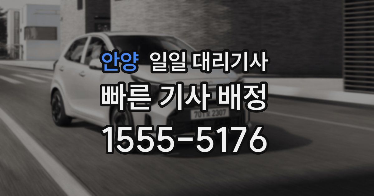 안양 일일 대리기사
