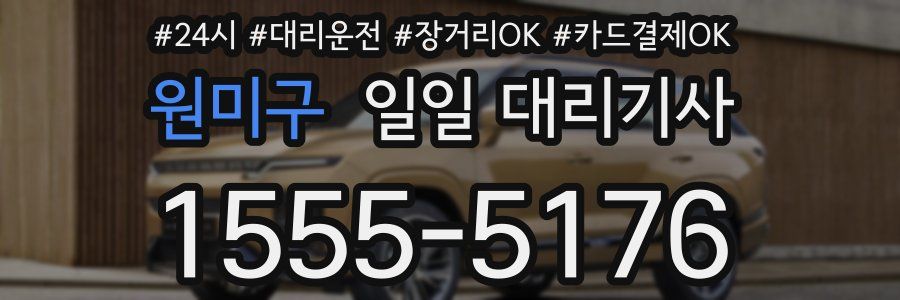 원미구 일일 대리기사