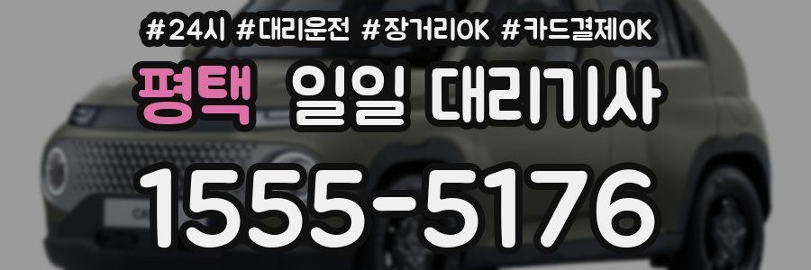 평택 일일 대리기사
