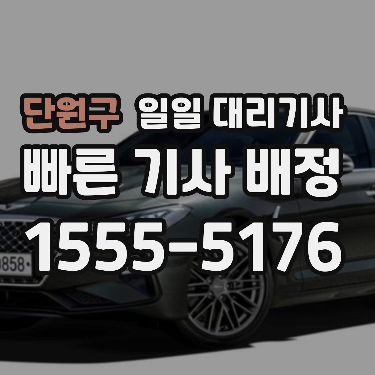 단원구 일일 대리기사