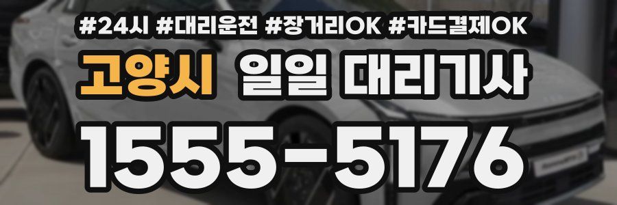 고양시 일일 대리기사