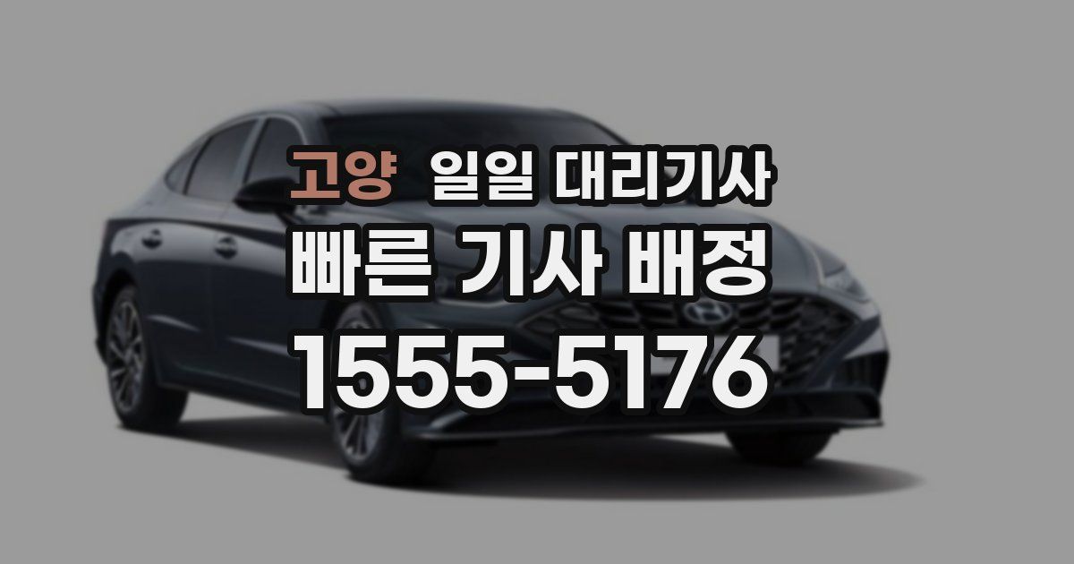 고양 일일 대리기사
