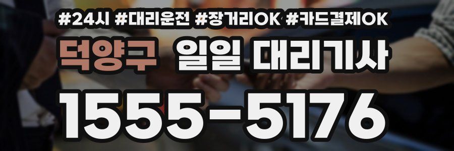 덕양구 일일 대리기사