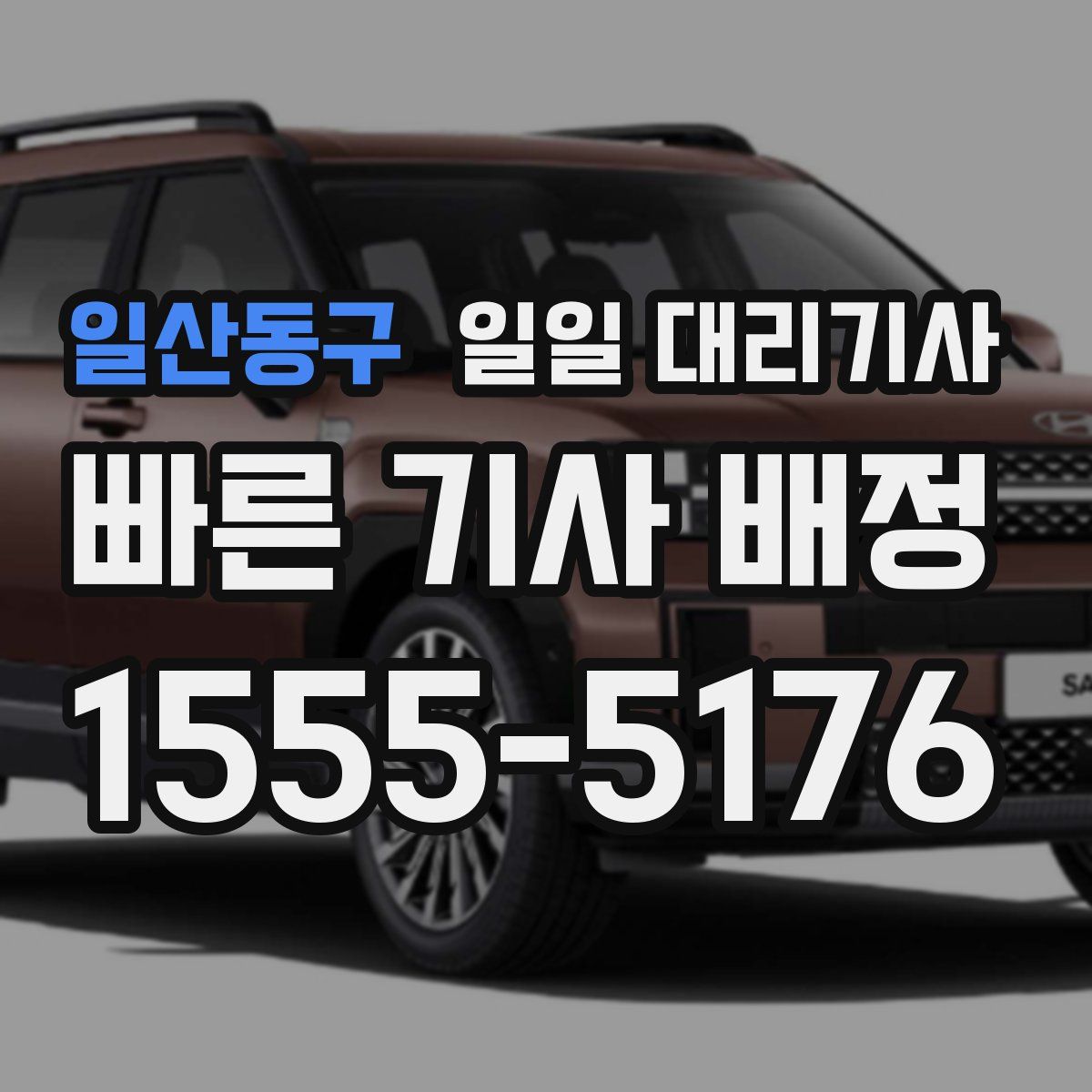 일산동구 일일 대리기사