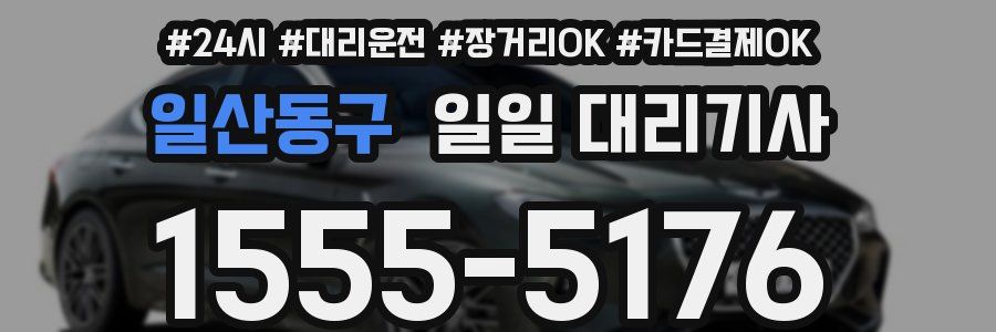 일산동구 일일 대리기사