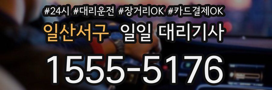 일산서구 일일 대리기사