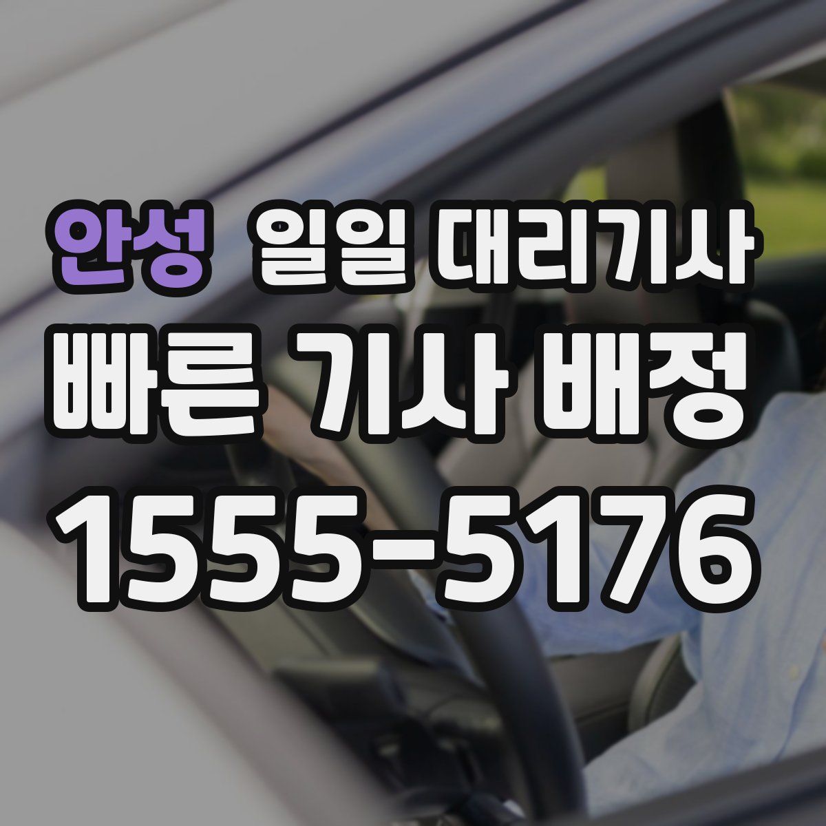 안성 일일 대리기사