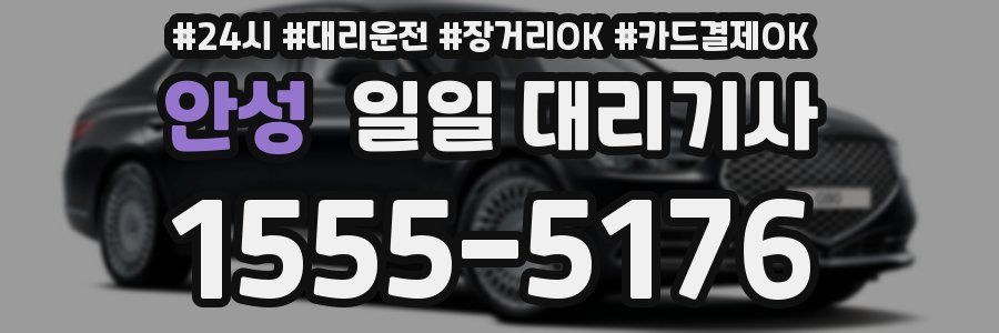 안성 일일 대리기사