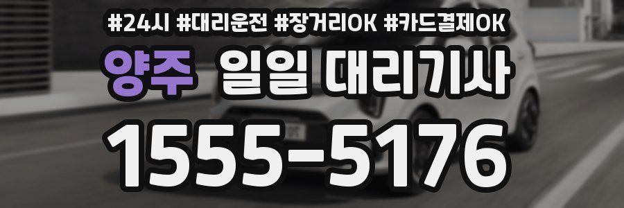 양주 일일 대리기사