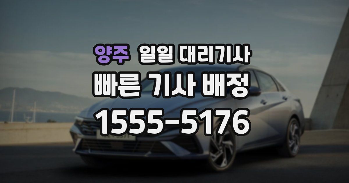 양주 일일 대리기사