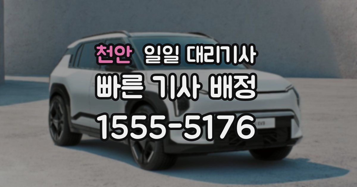 천안 일일 대리기사