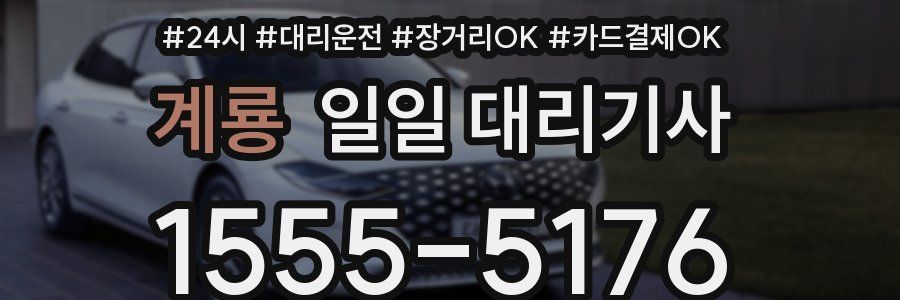 계룡 일일 대리기사