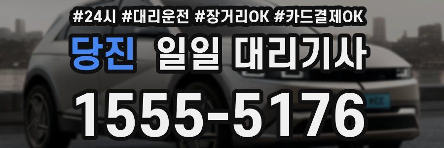 당진 일일 대리기사