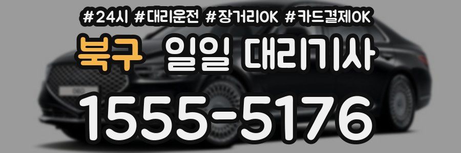 북구 일일 대리기사