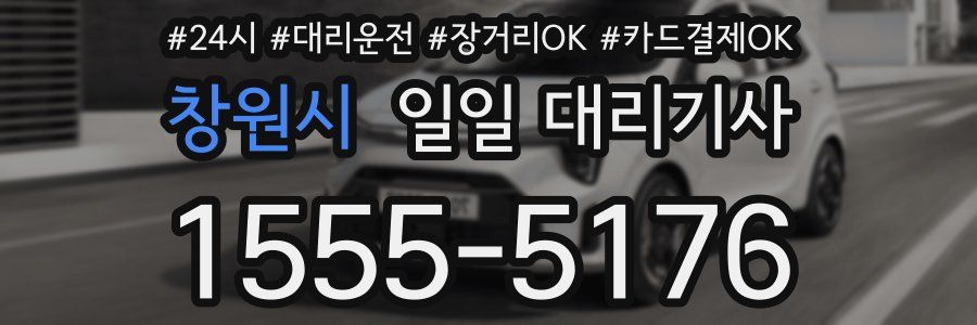 창원시 일일 대리기사