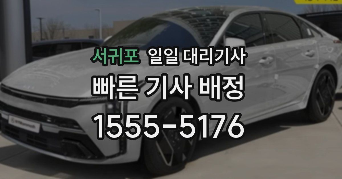 서귀포 일일 대리기사