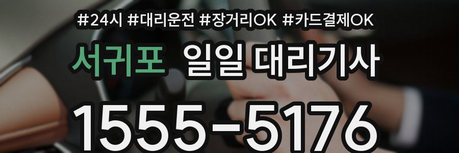 서귀포 일일 대리기사