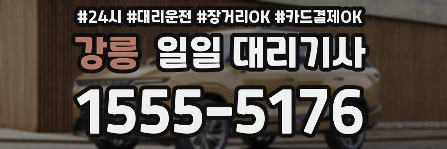 강릉 일일 대리기사