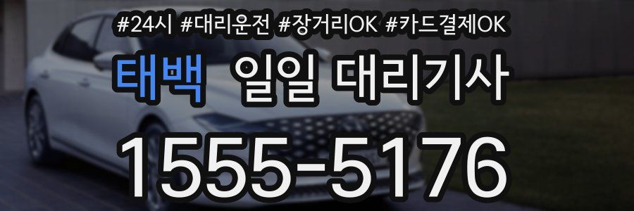 태백 일일 대리기사