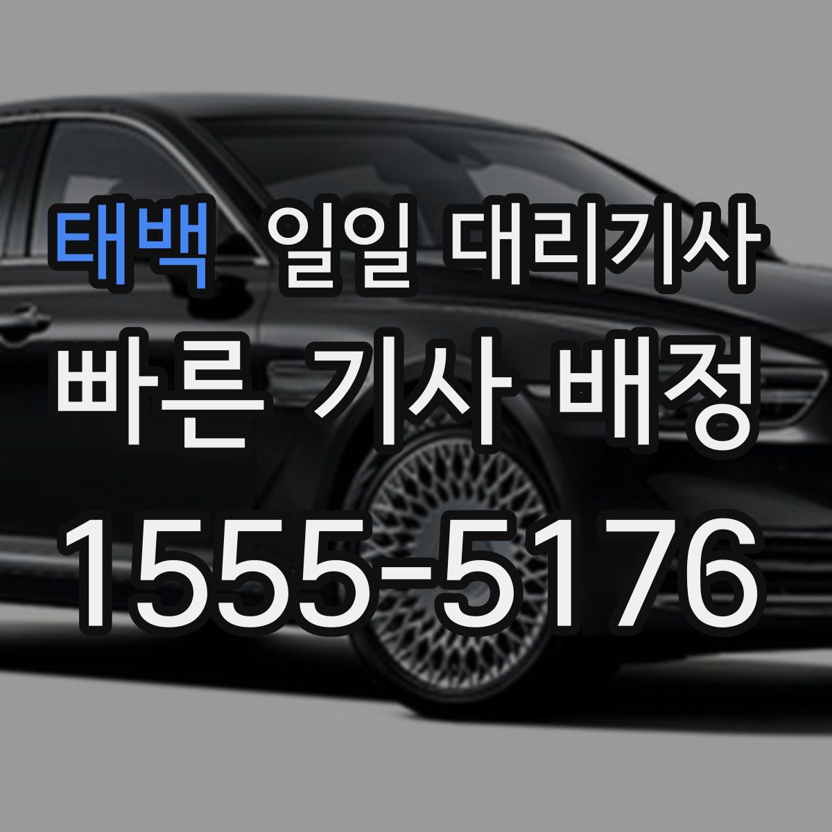 태백 일일 대리기사