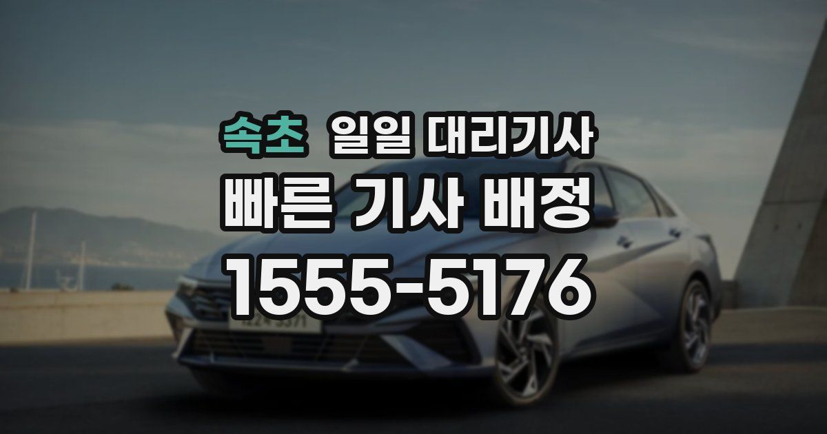 속초 일일 대리기사