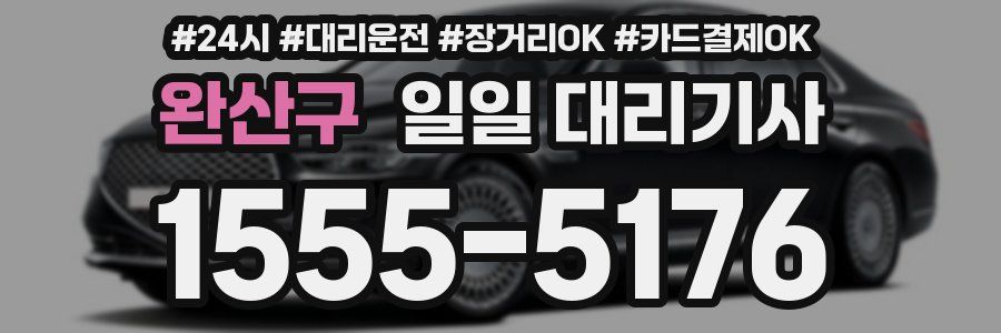 완산구 일일 대리기사