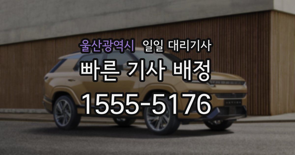 울산광역시 일일 대리기사