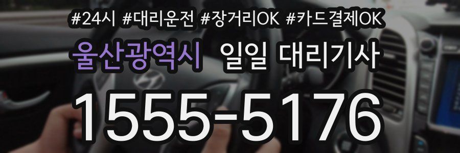 울산광역시 일일 대리기사