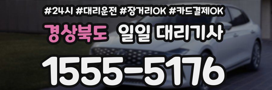 경상북도 일일 대리기사