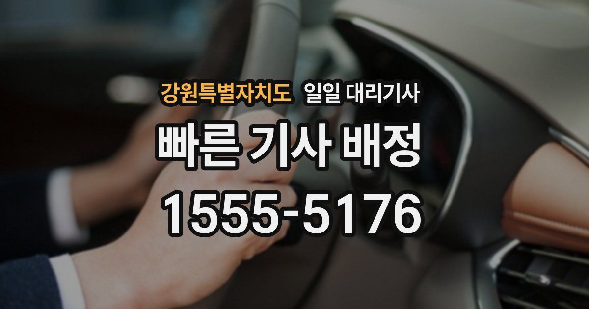 강원특별자치도 일일 대리기사