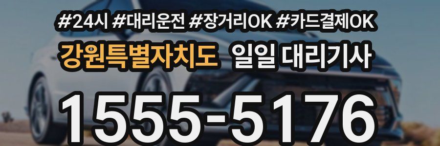강원특별자치도 일일 대리기사