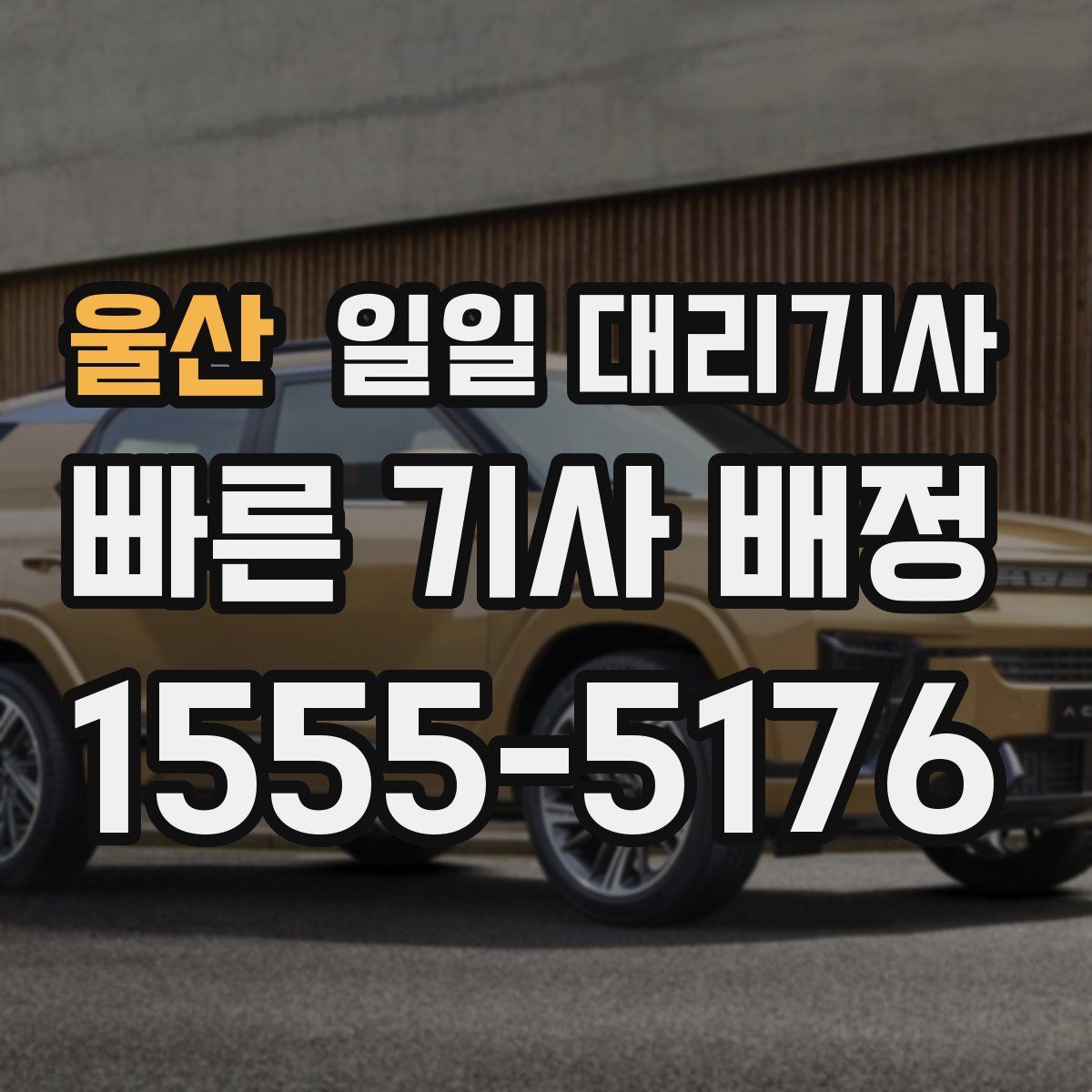 울산 일일 대리기사