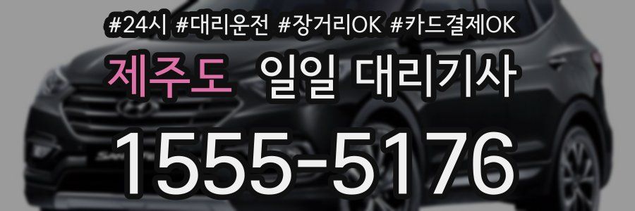 제주도 일일 대리기사