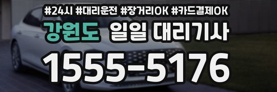 강원도 일일 대리기사