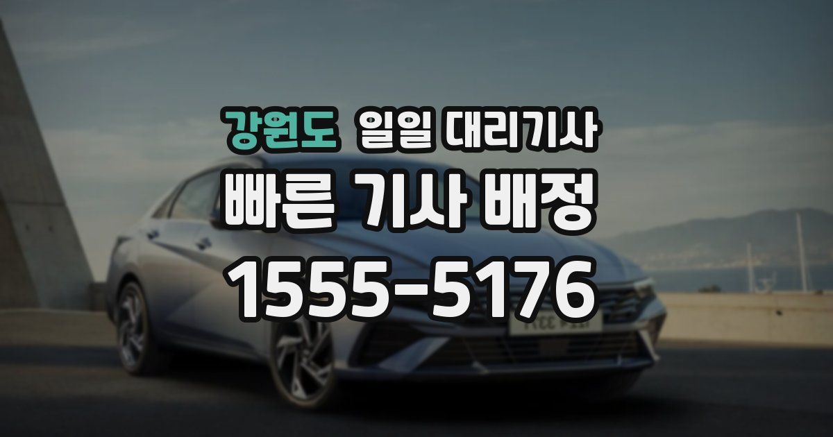 강원도 일일 대리기사