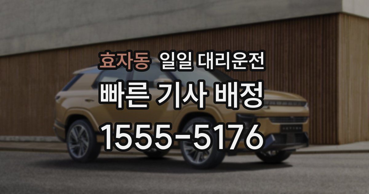 효자동 일일 대리운전