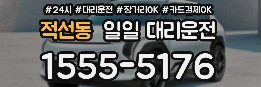 적선동 일일 대리운전