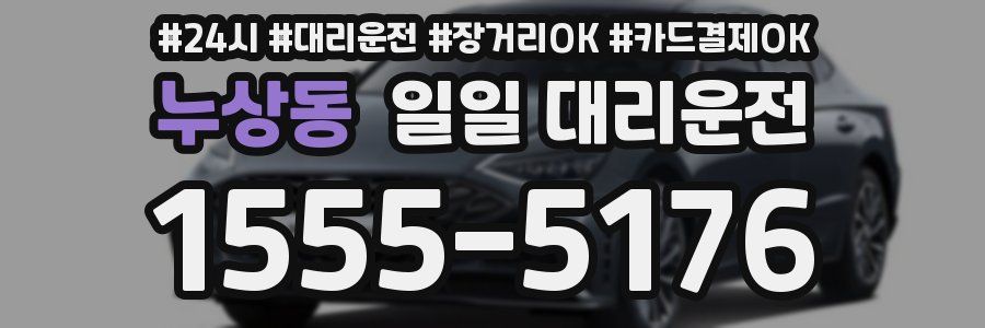 누상동 일일 대리운전