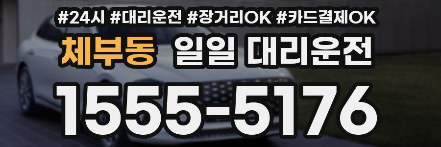 체부동 일일 대리운전