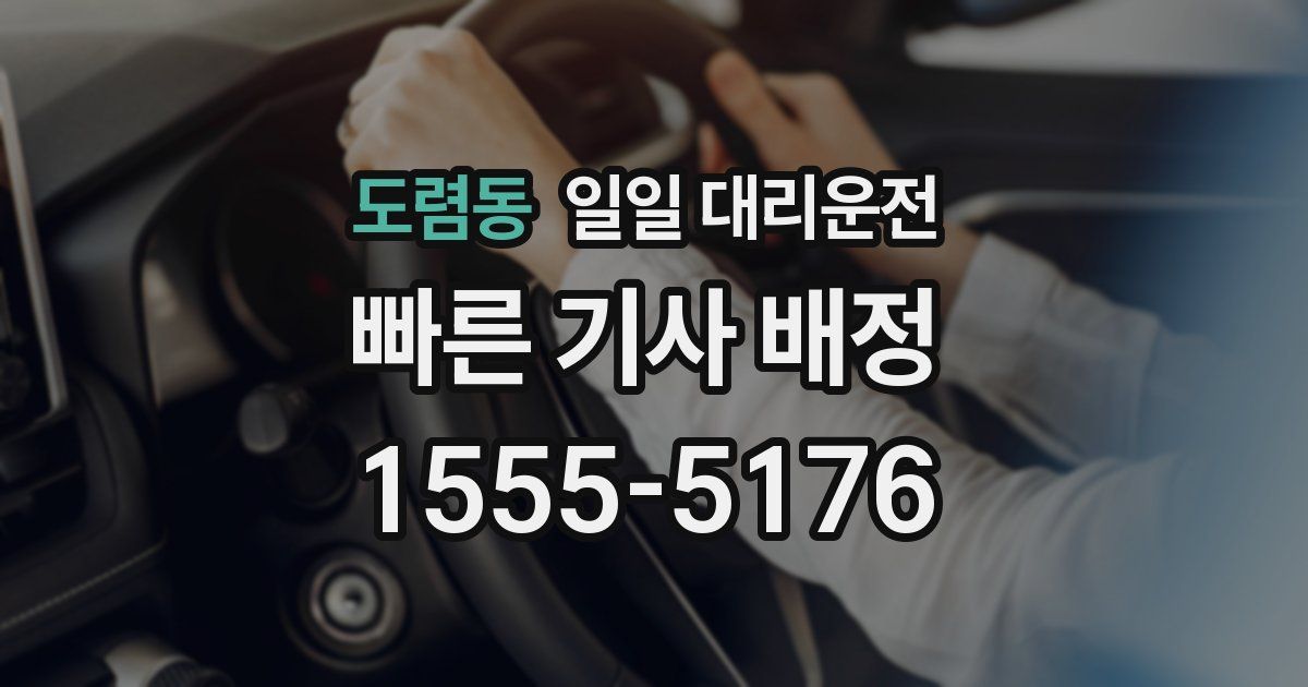 도렴동 일일 대리운전