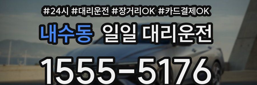 내수동 일일 대리운전