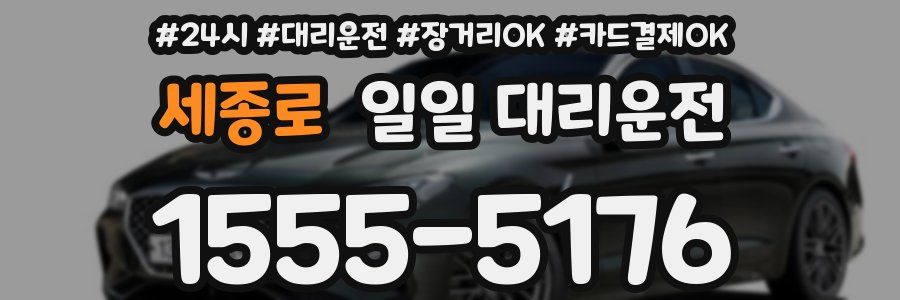 세종로 일일 대리운전