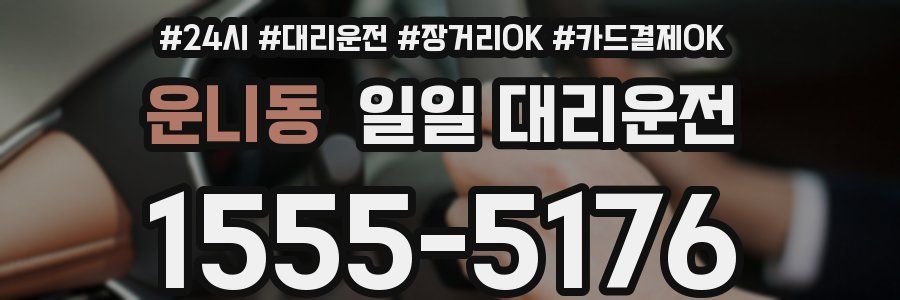 운니동 일일 대리운전