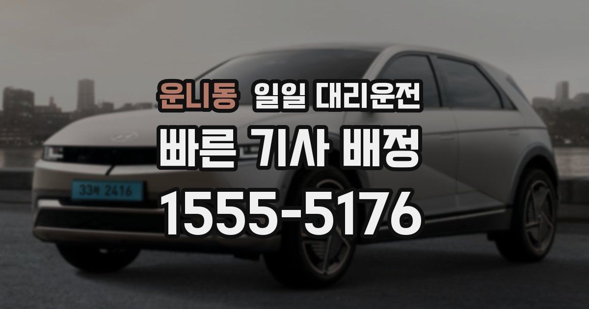 운니동 일일 대리운전