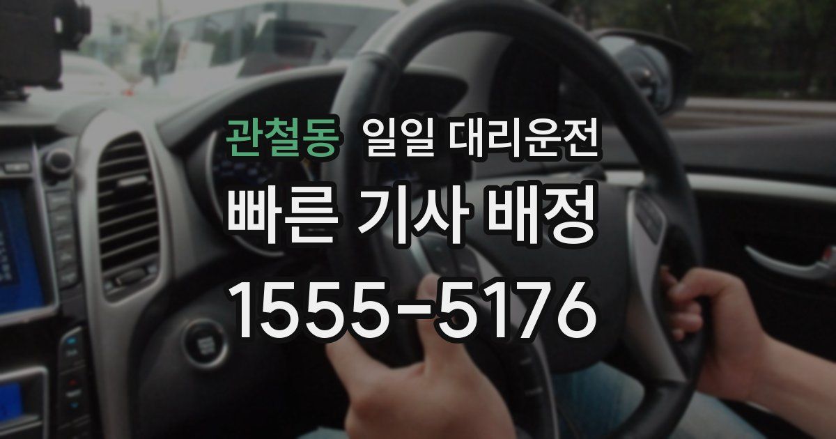 관철동 일일 대리운전