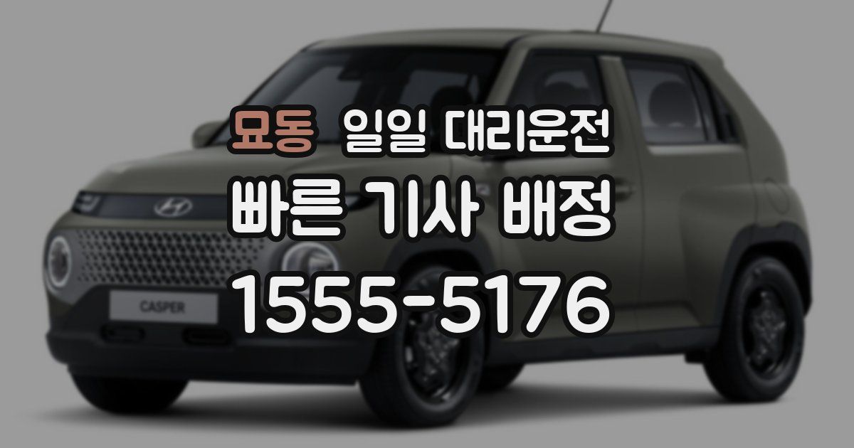 묘동 일일 대리운전