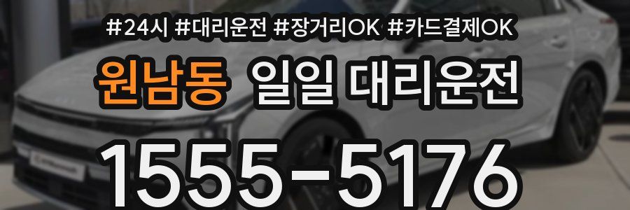 원남동 일일 대리운전